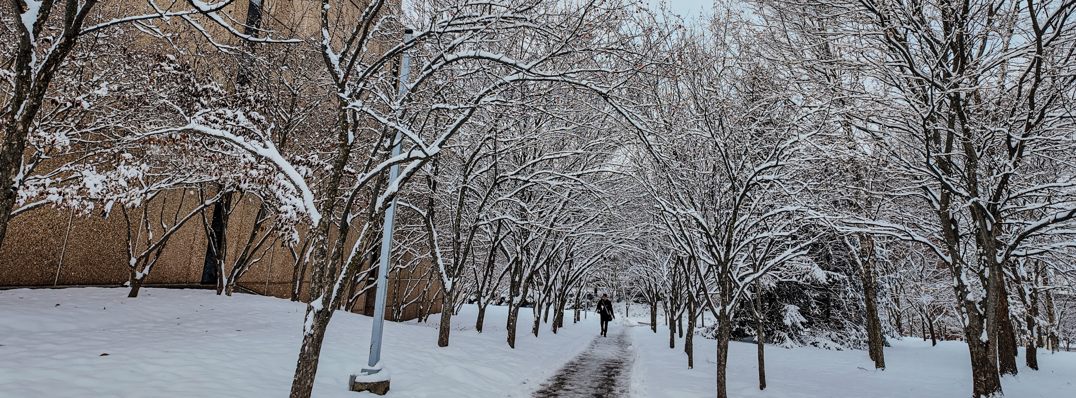 ENGL Website Banners.png